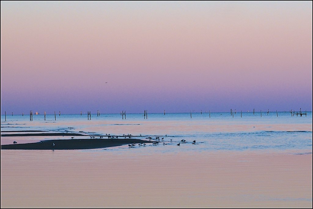 Beach Sunset in Mauve