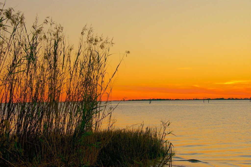 Clermont Harbor Alight in Gold